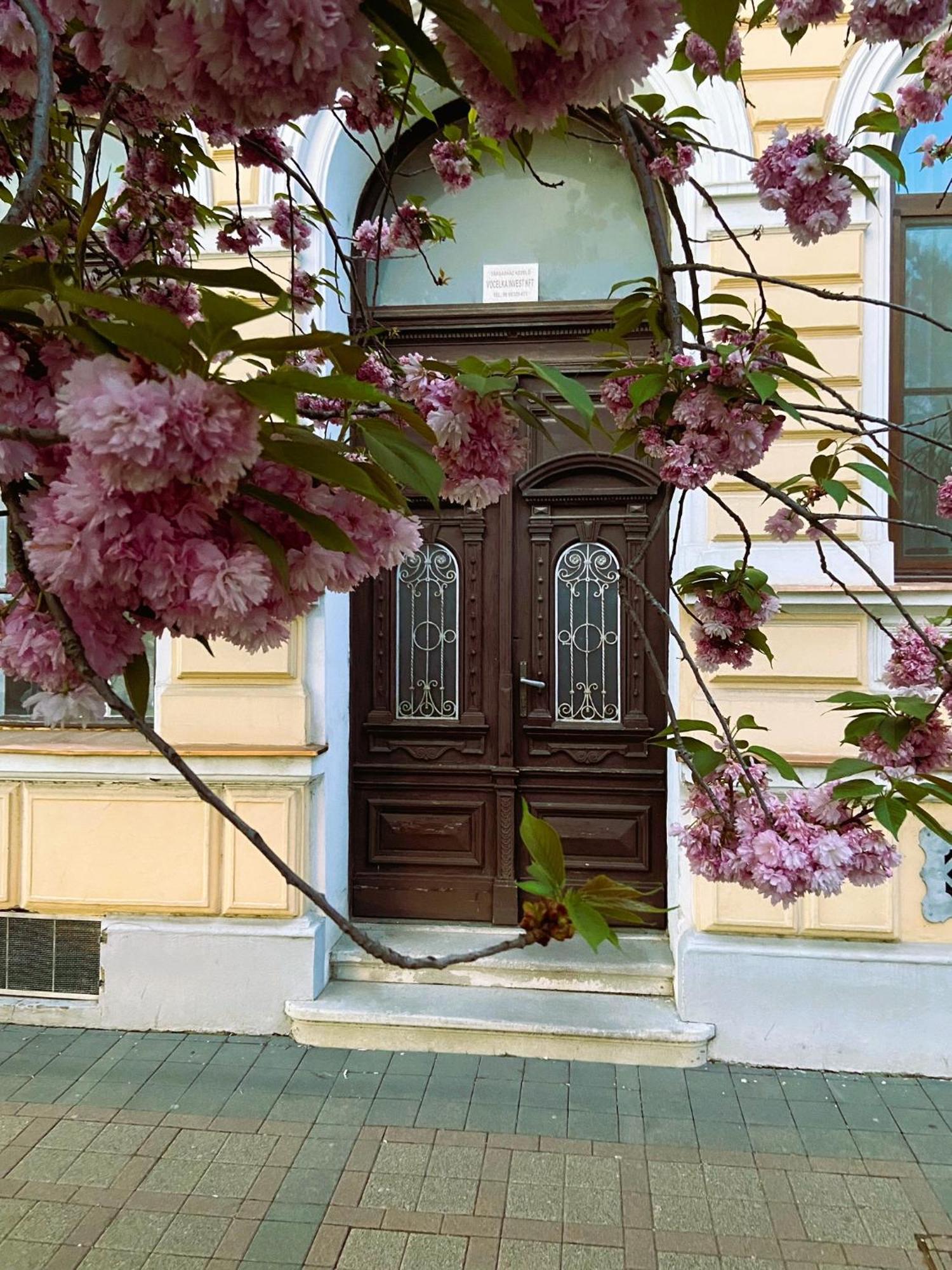 Silentium City Apartman Sárvár Exteriér fotografie